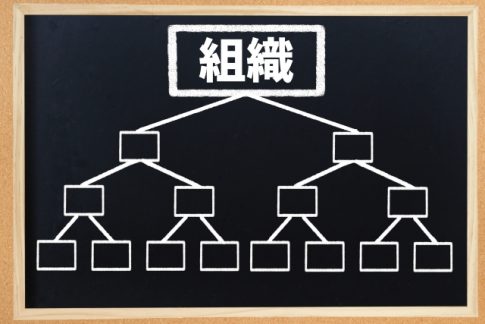 組織　部門