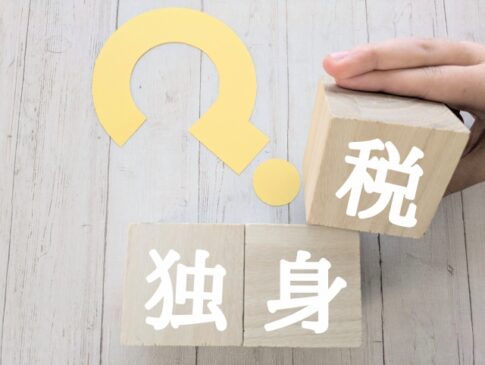 独身税　こども子育て支援金